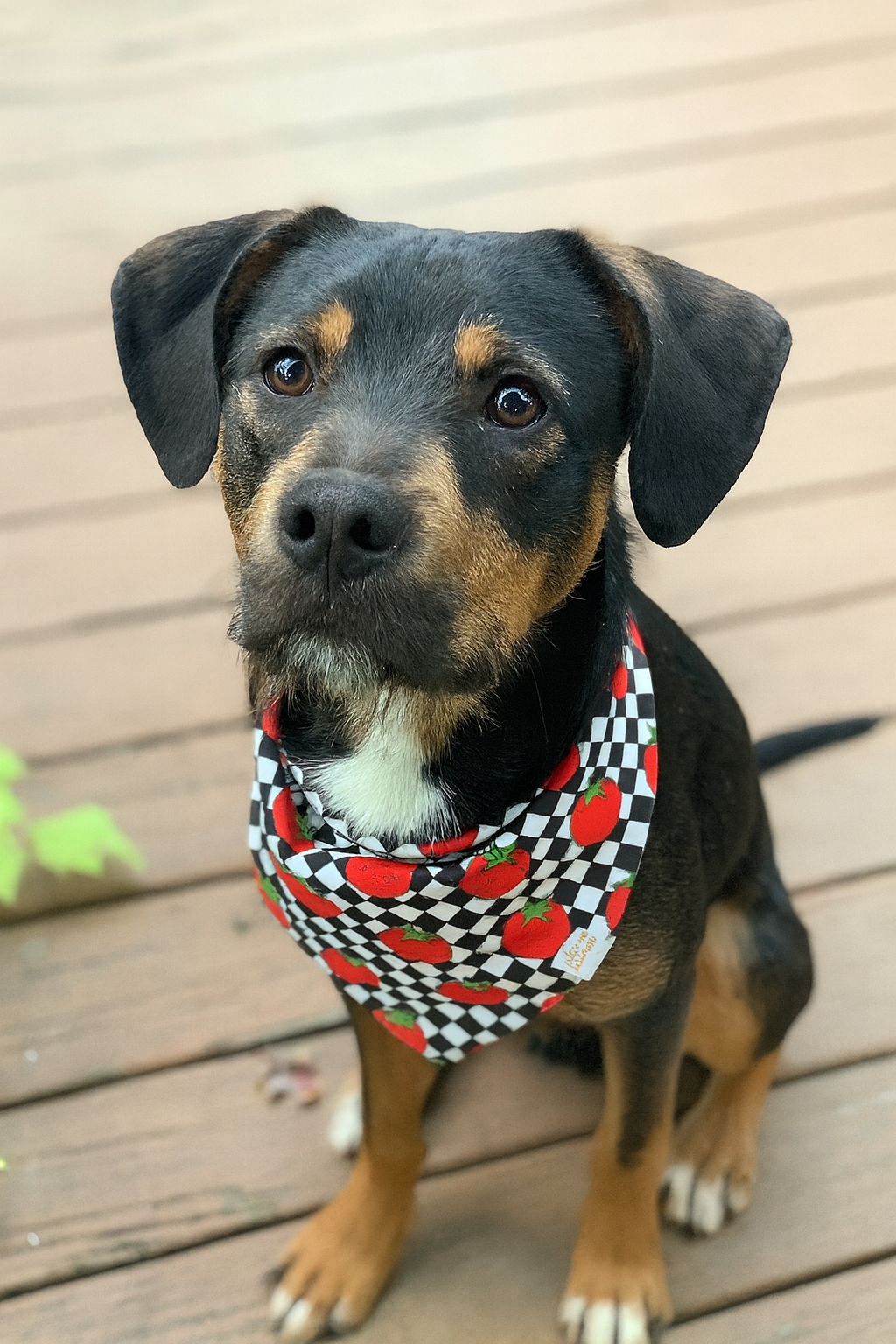 Alvin Update