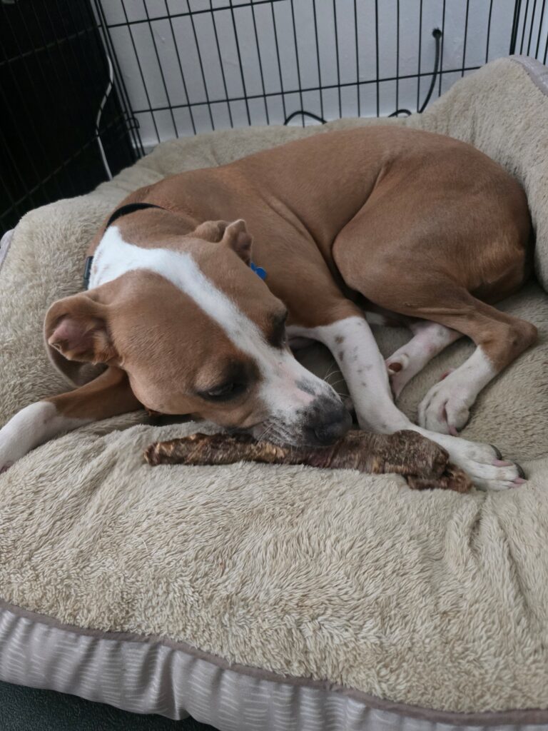 Sage - COURTESY POST