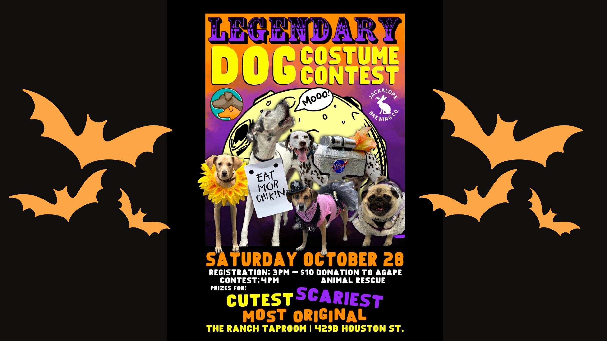 Legendary Dog Costume Contest - Jackalope Brewing Company