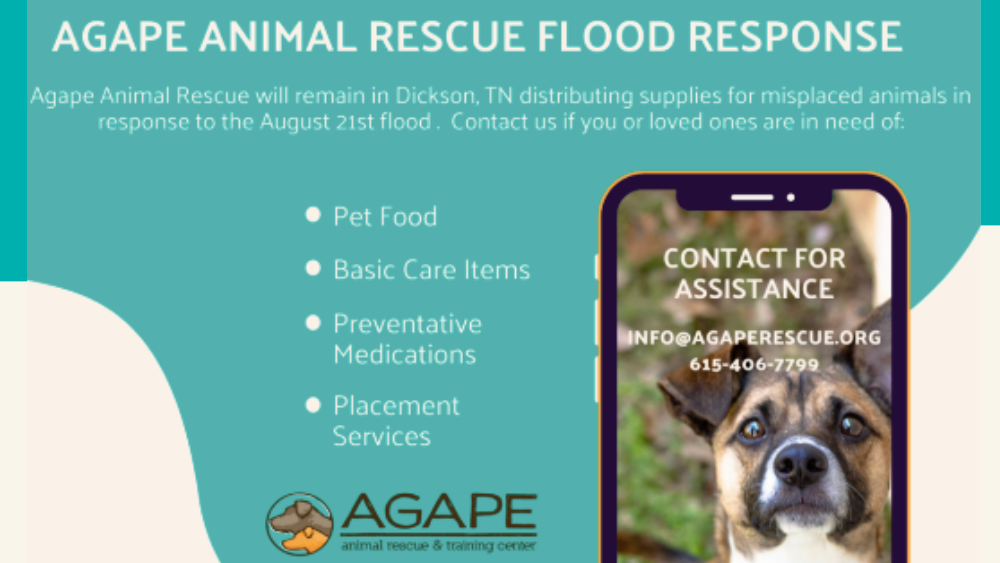 Agape Animal Rescue Flood Relief Response | Agape Animal Rescue
