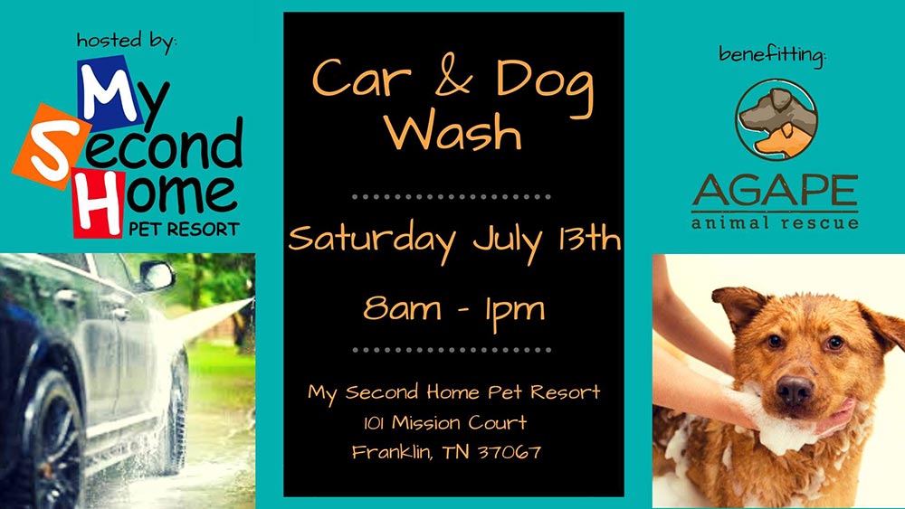 Car & Dog Wash at My Second Home | Agape Animal Rescue